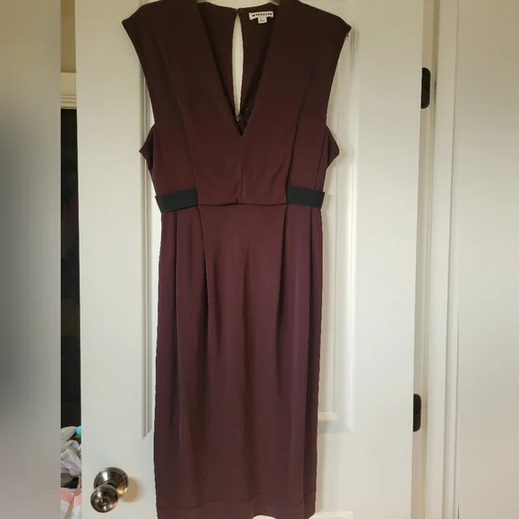 whistles brown dress Sexy Short Homecoming Dress with Strappy Back Maroon / XLarge